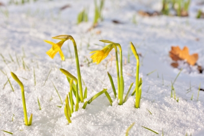 spring and grief