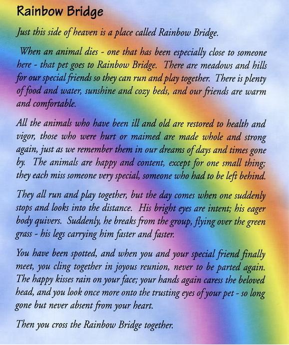 Rainbow Bridge Poem Healing The Grief